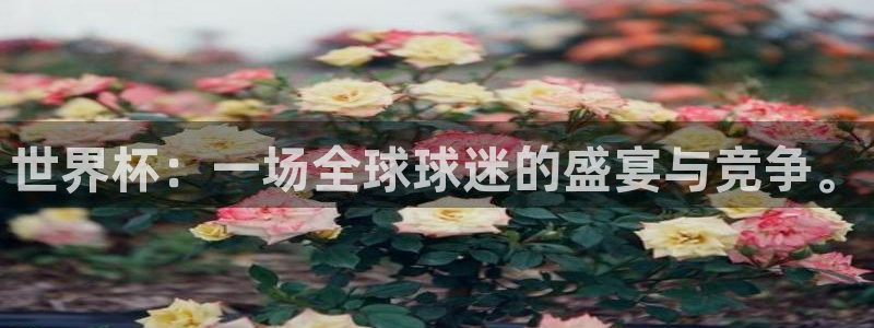 世界杯欧洲预选赛赛程:世界杯:一场全球球迷的盛宴与竞争。