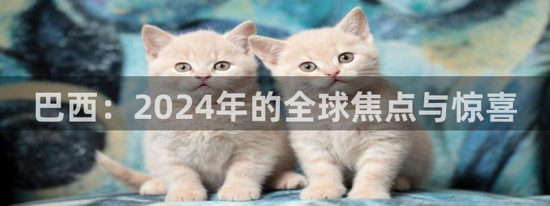 世界杯足球直播:巴西:2024年的全球焦点与惊喜