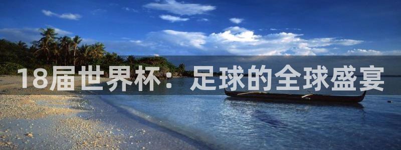 世界杯直播在线观看入口:18届世界杯:足球的全球盛宴