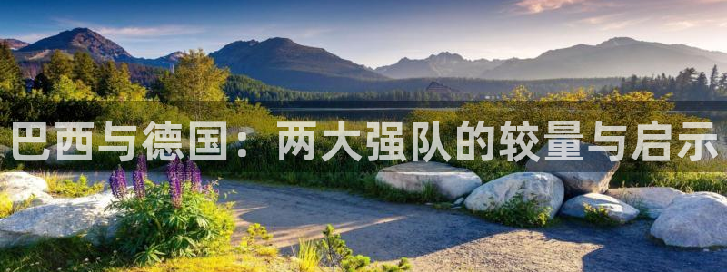 葡萄牙世界杯赛程:巴西与德国:两大强队的较量与启示