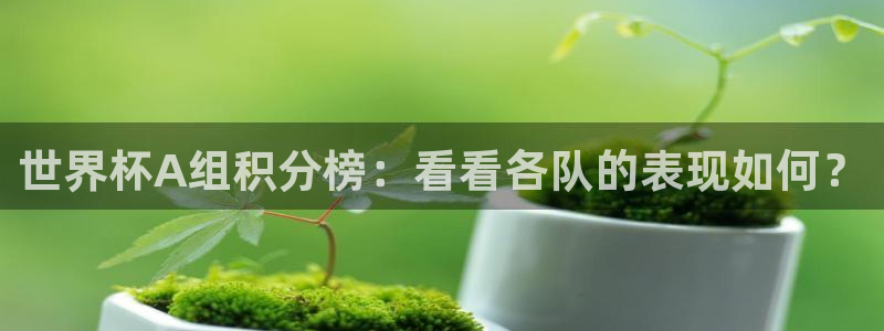2026世预赛全部赛程:世界杯A组积分榜:看看各队的表现如何?