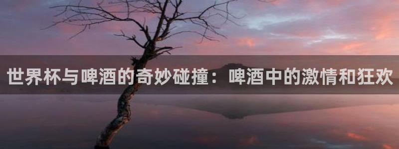 2026世界杯预选赛:世界杯与啤酒的奇妙碰撞:啤酒中的激情和狂欢